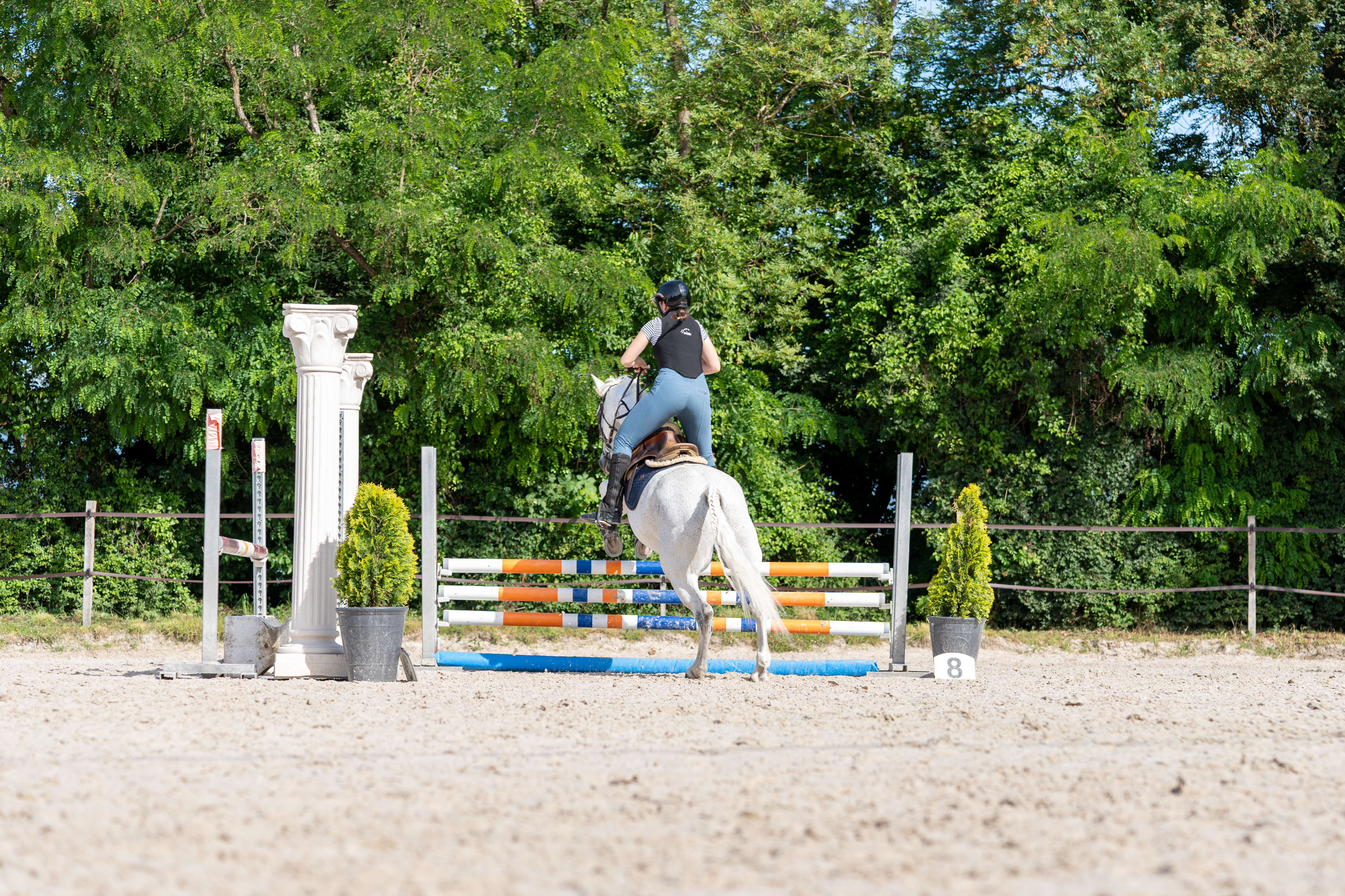 Poney