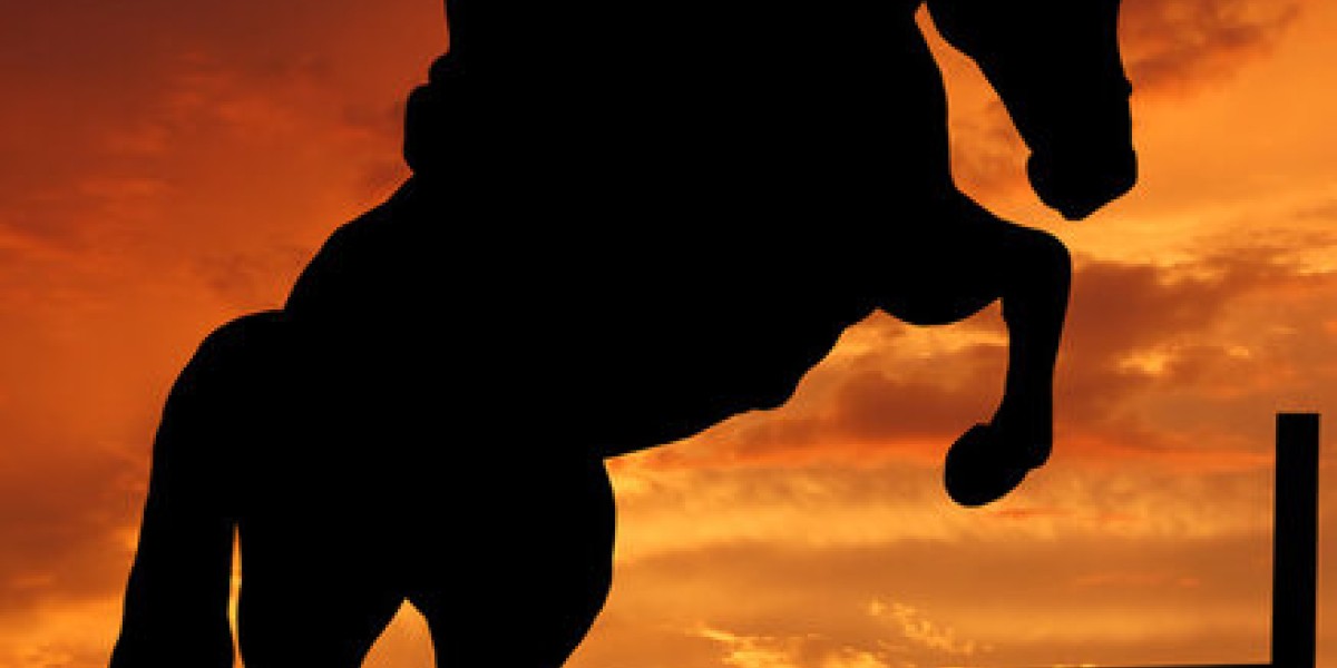 Stage coaching mental et saut avec Philippe Linget